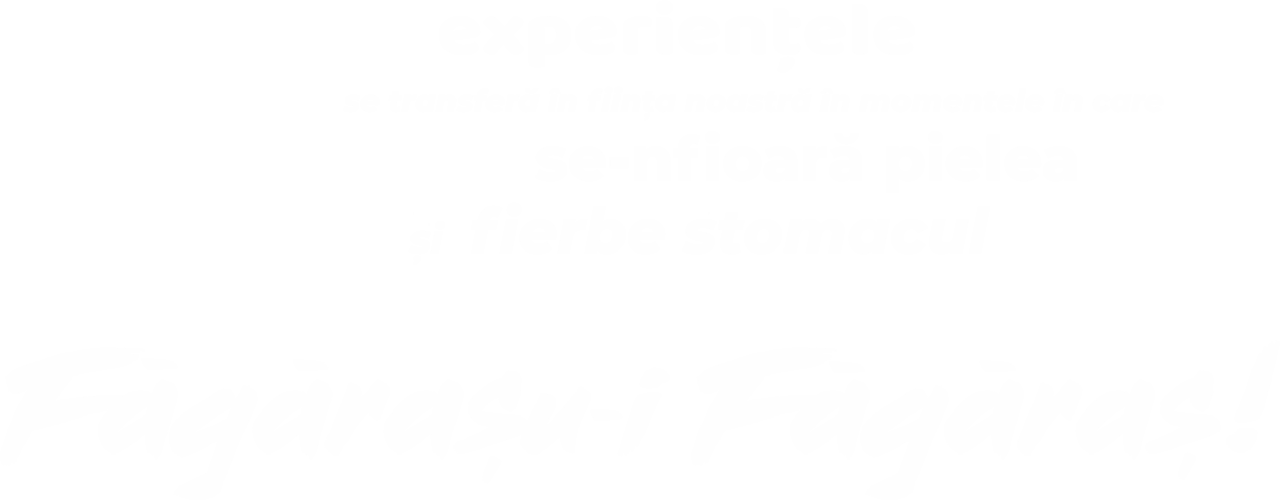 experiente-fagaras-intro