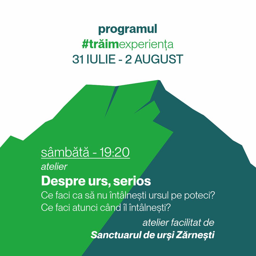 Activitate 7